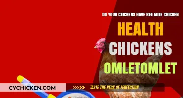 Red Mite: A Chicken Health Hazard
