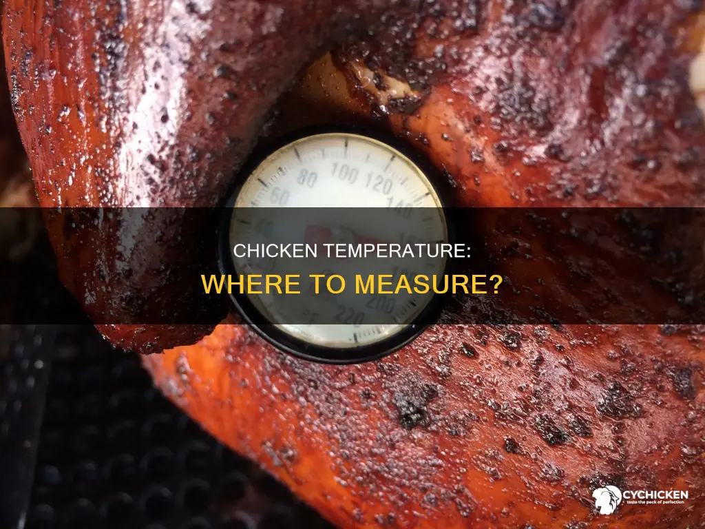 do yoy have to measure chicken temperature all over