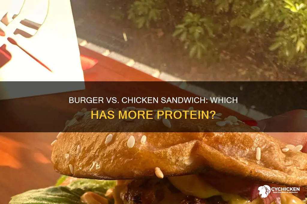 does a burger or chicken sandwich have more protein