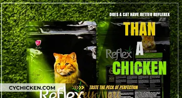 Reflexes: Cats vs Chickens, Who's Faster?