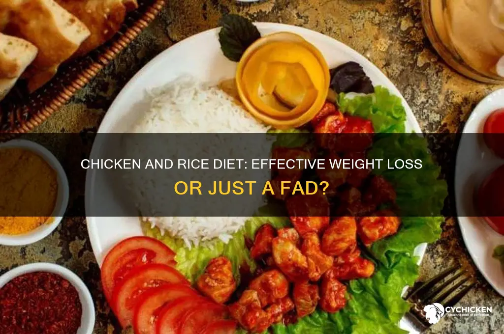 does a chicken and rice diet work