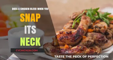 Snapping a Chicken's Neck: Does It Bleed?