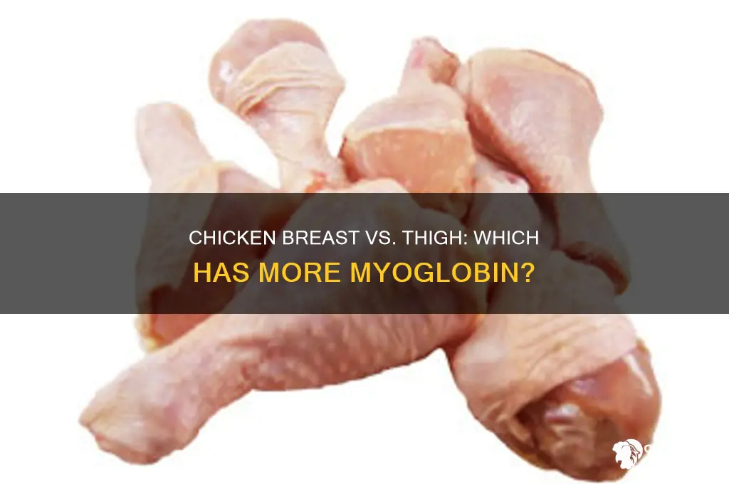 does a chicken breast or chicken thigh have more myoglobin