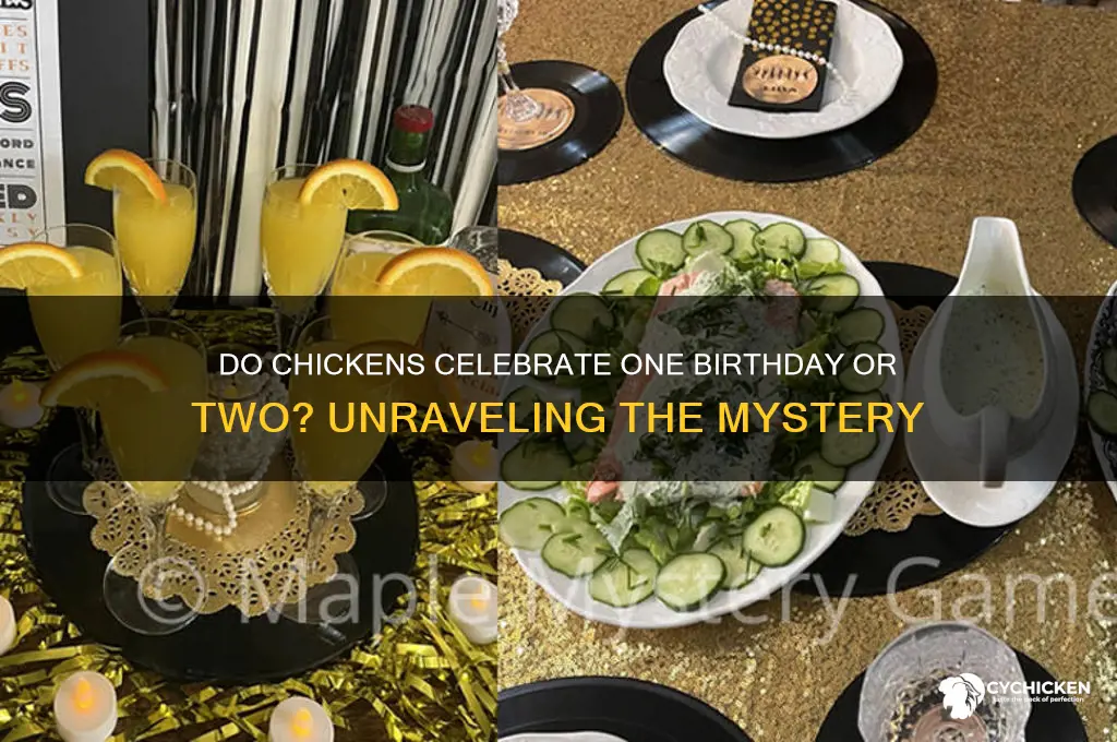 does a chicken have one birthday pr two