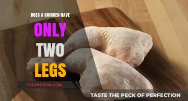 Do Chickens Really Have Just Two Legs? Uncovering the Truth
