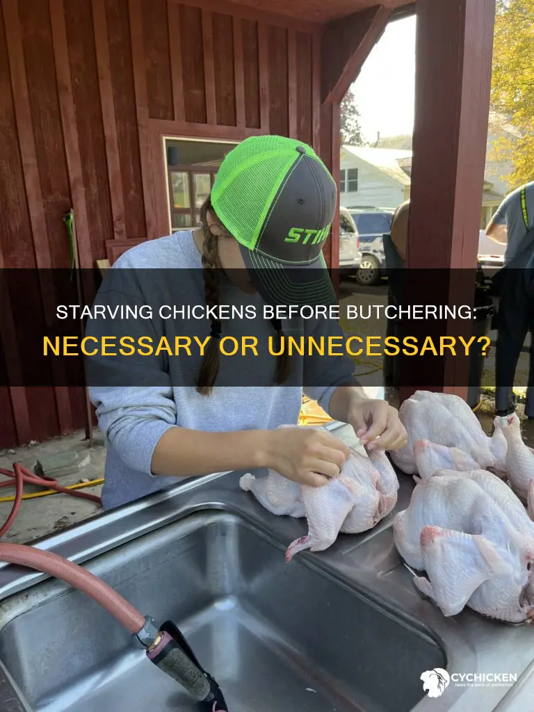 does a chicken have to be starved before butchering