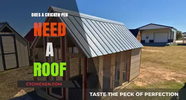 Should You Add a Roof to Your Chicken Pen? Pros and Cons