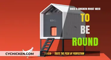Round or Not? The Truth About Chicken Roost Design