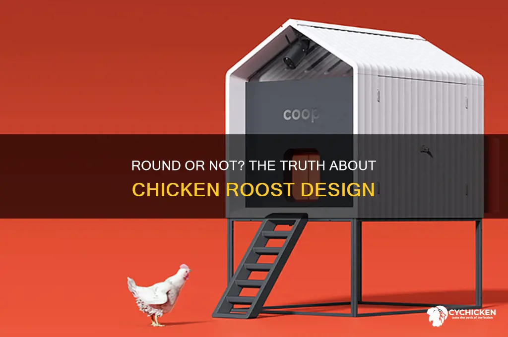 does a chicken roost need to be round