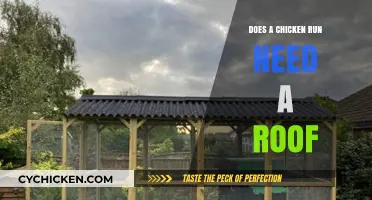 Should You Add a Roof to Your Chicken Run? Pros and Cons