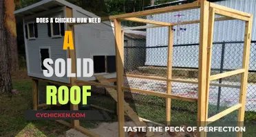 Should Your Chicken Run Have a Solid Roof? Pros and Cons
