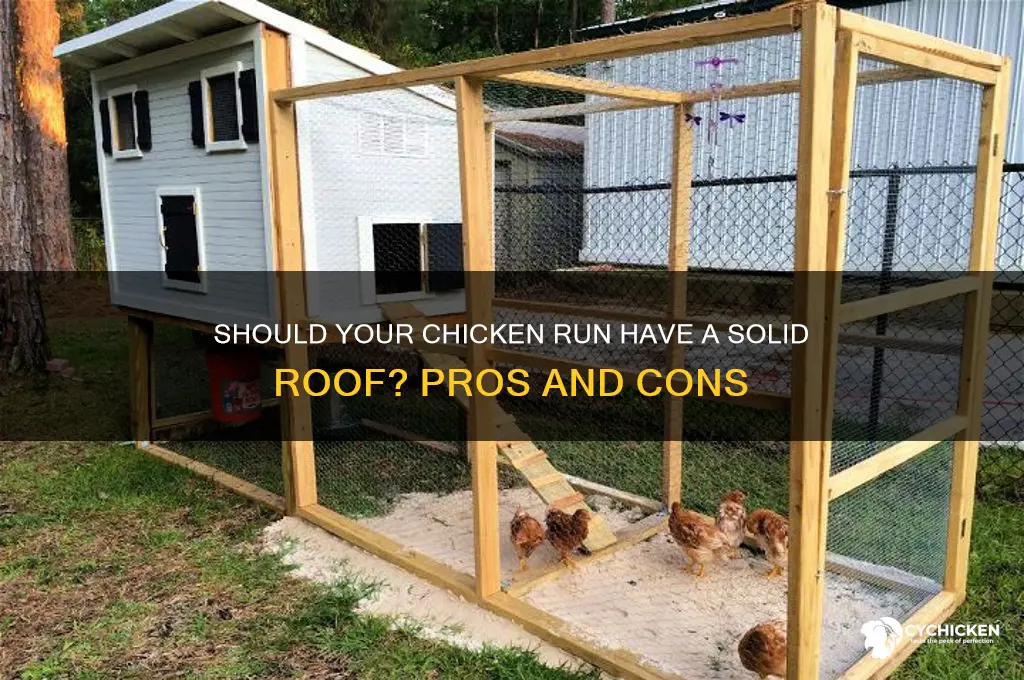 does a chicken run need a solid roof