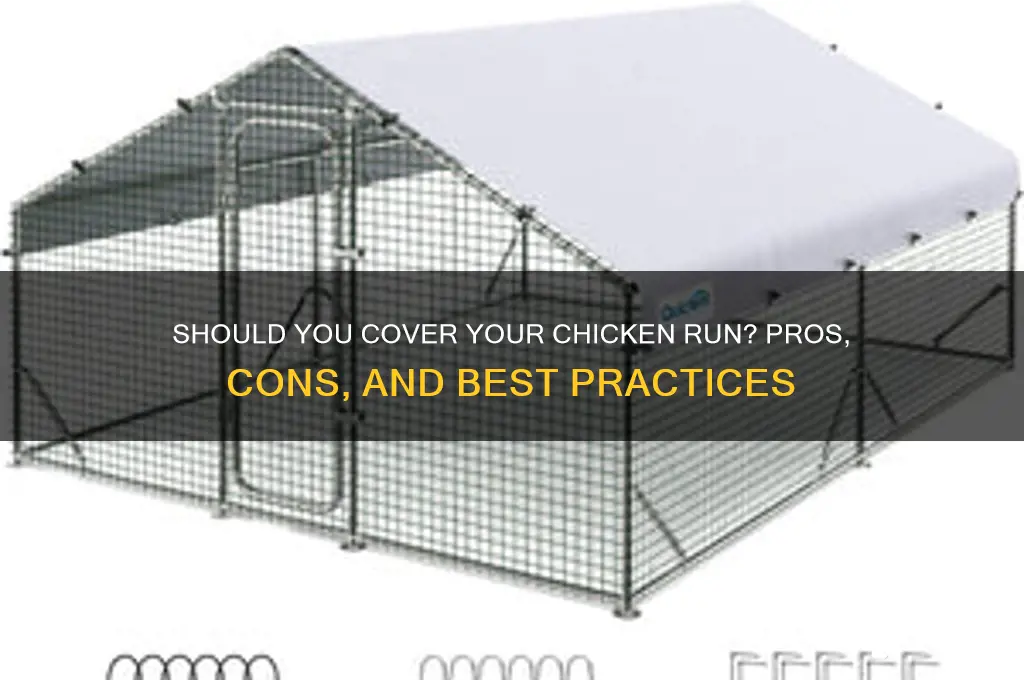 does a chicken run need to be covered