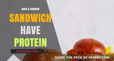 Does a Chicken Sandwich Have Protein? Uncovering Nutritional Facts