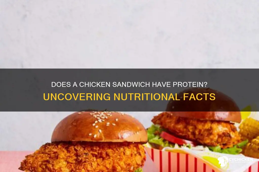 does a chicken sandwich have protein