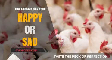 Do Chickens Sing? Decoding Happy or Sad Clucks and Sounds