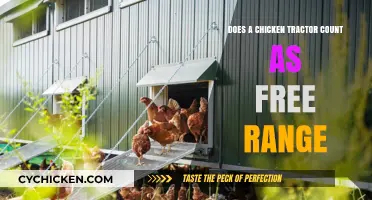 Is a Chicken Tractor Truly Free Range? Exploring the Debate