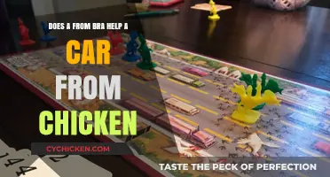 Bra Power: Preventing Chicken Car Accidents