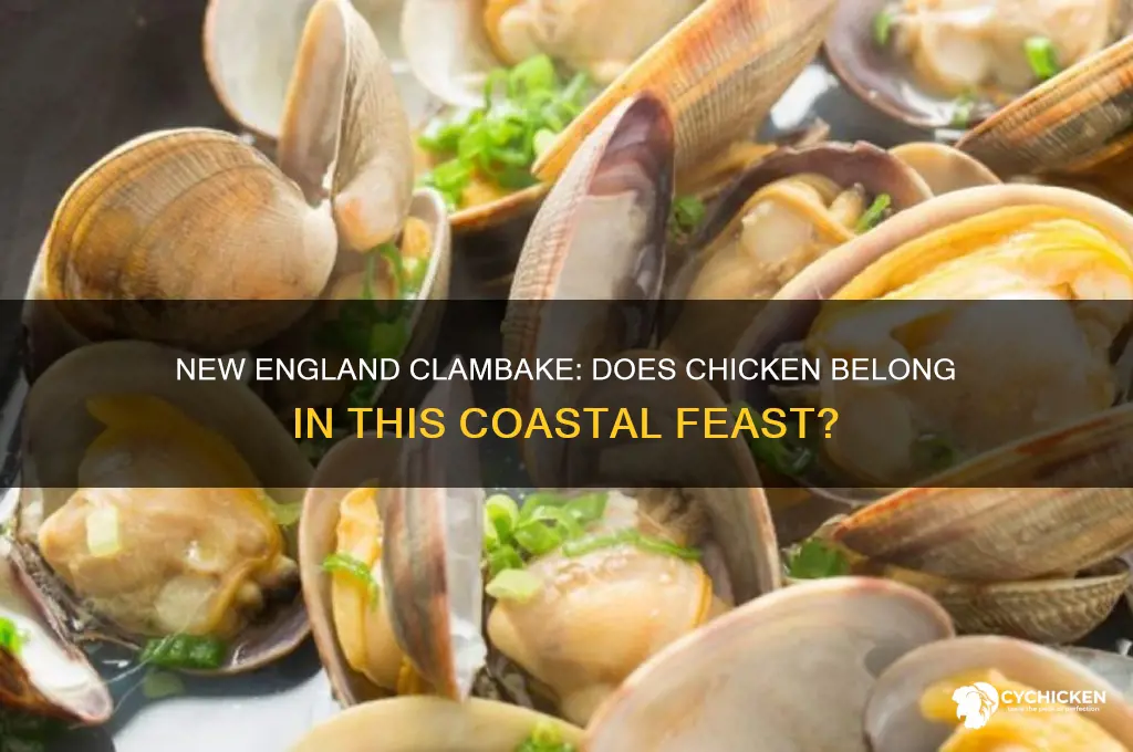 does a new england clambake include chicken