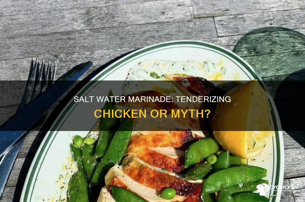 does a salt water marinate tenderize chicken