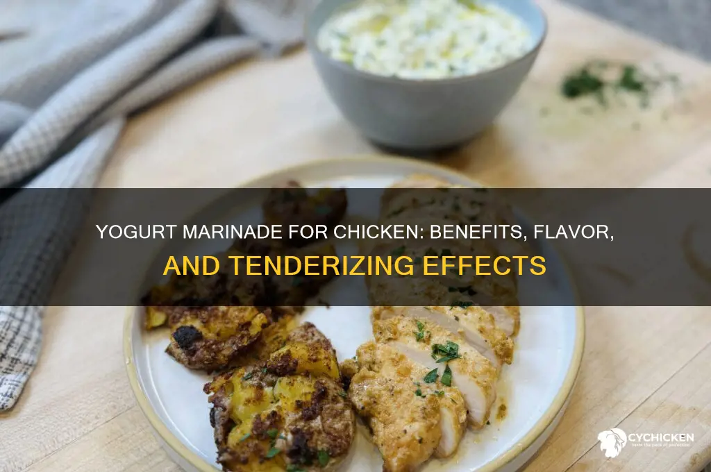 does a yogurt marinade do anything for chicken
