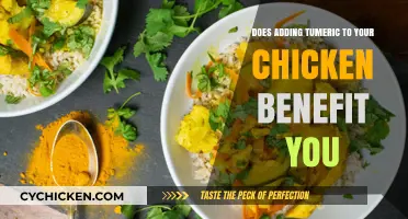 Turmeric-Infused Chicken: Unlocking Health Benefits and Flavorful Nutrition