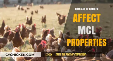 How Chicken Age Influences MCL Properties: A Comprehensive Analysis