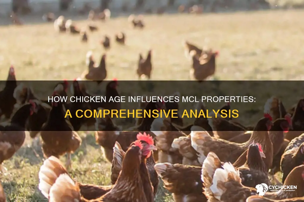 does age of chicken affect mcl properties