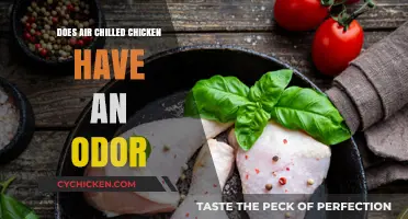 Air-Chilled Chicken Odor: Fact or Fiction? Uncovering the Truth
