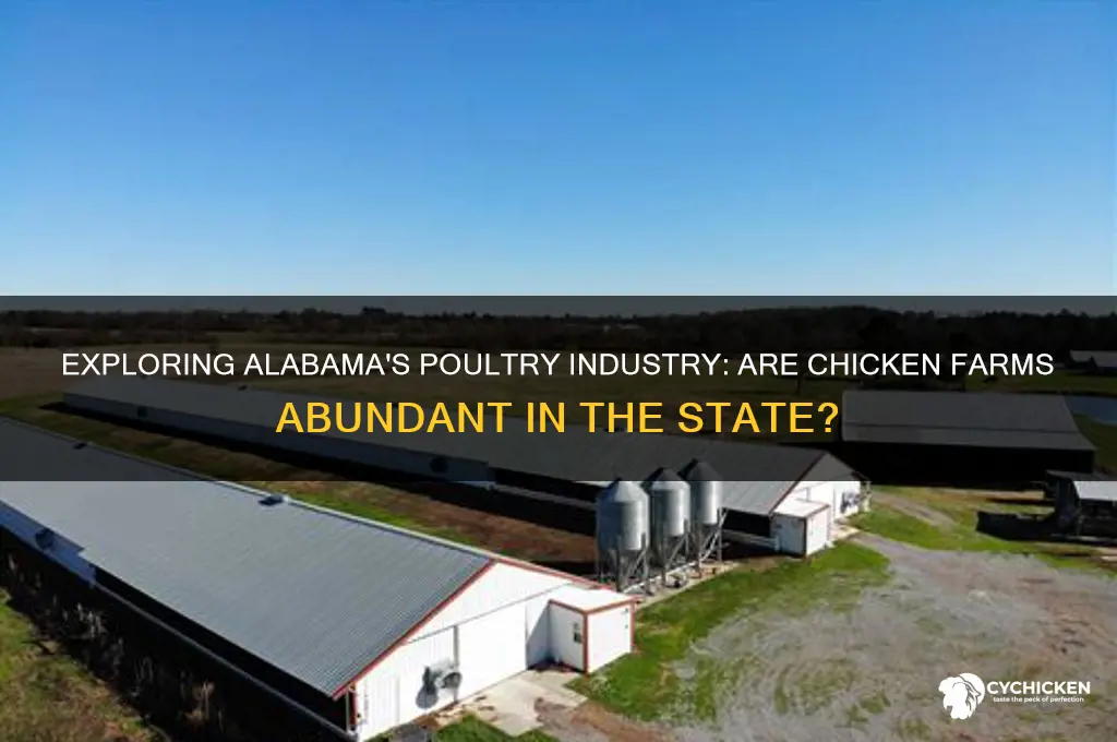 does alabama have alot of chicken farms