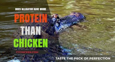 Alligator vs. Chicken: Which Protein Source Reigns Supreme?