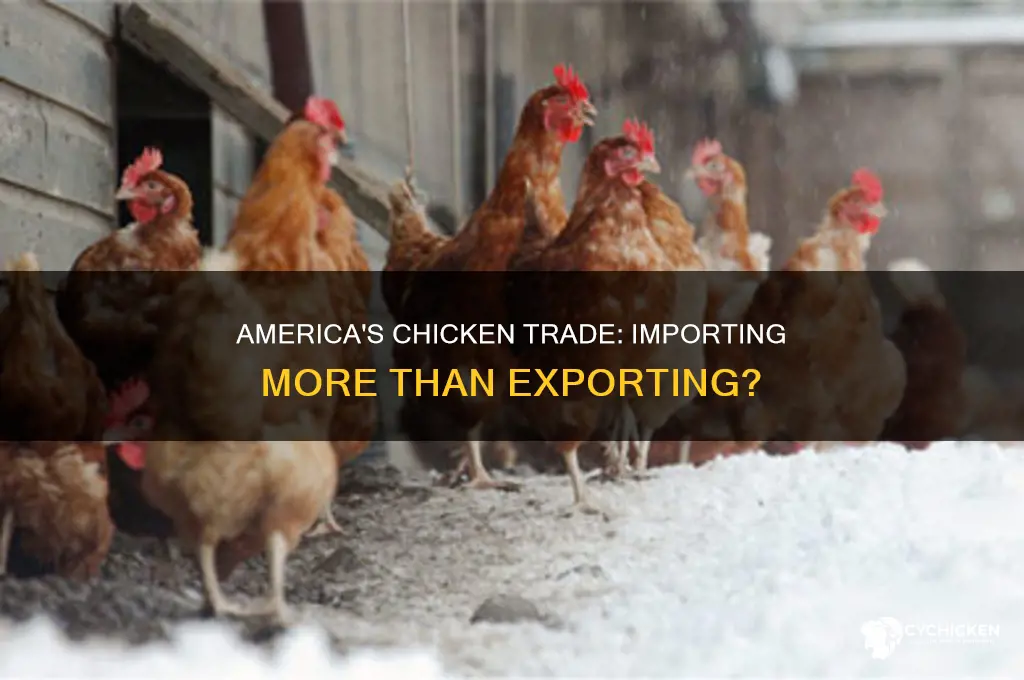 does america import more chicken than export