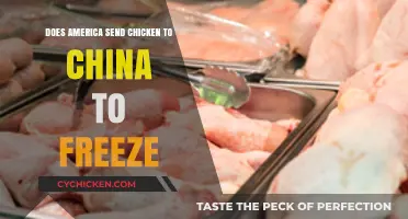 Does America Export Chicken to China for Freezing? Unraveling the Trade