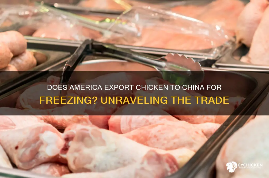 does america send chicken to china to freeze