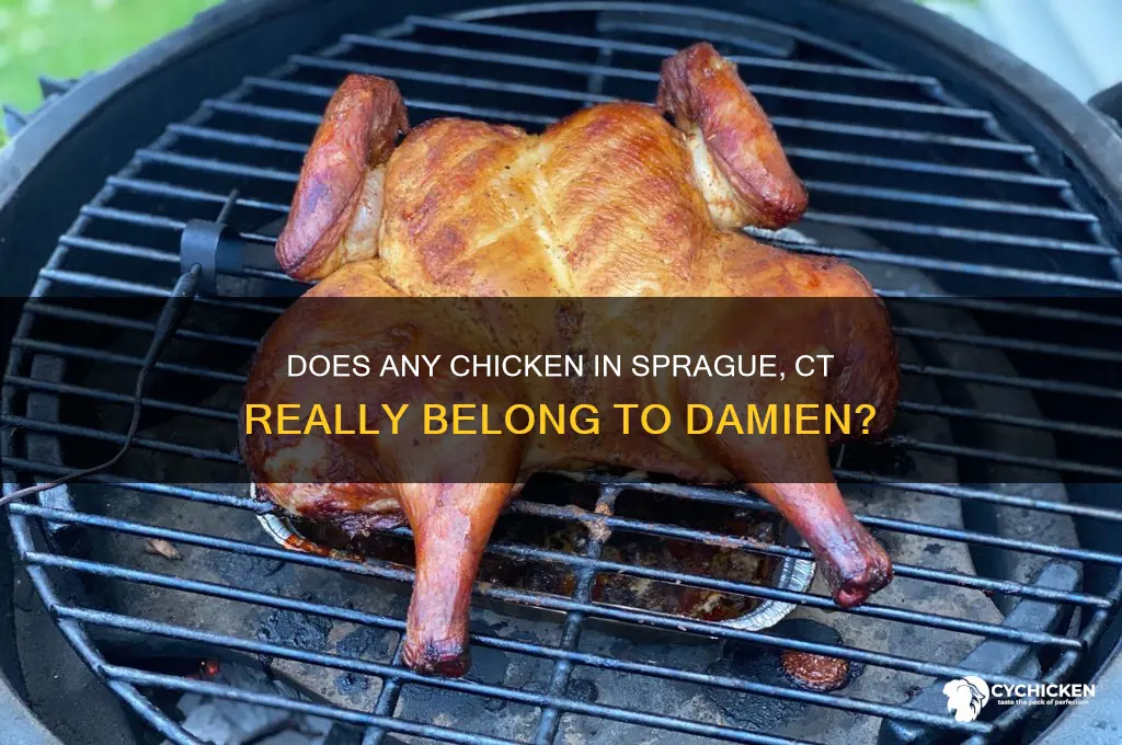 does any chicken sprague ct really damien