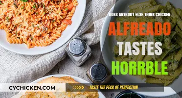 Why Chicken Alfredo Divides Opinions: A Taste Debate