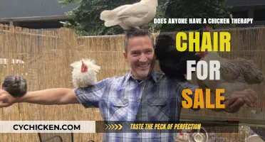 Find Your Feathered Friend: Chicken Therapy Chairs Available Now!