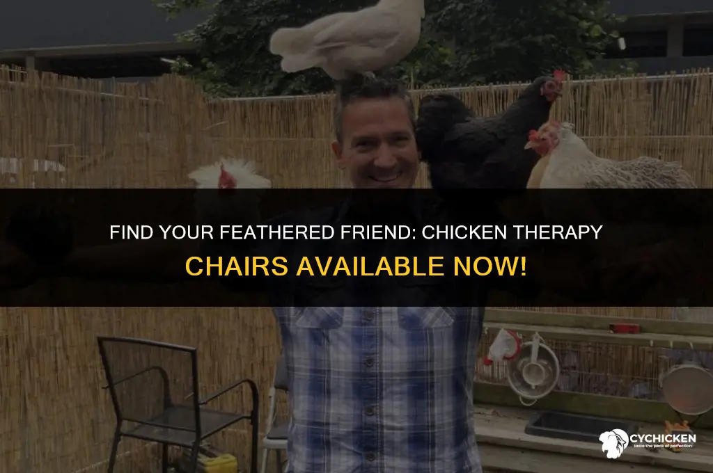 does anyone have a chicken therapy chair for sale