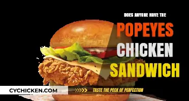 Popeyes Chicken Sandwich Craze: Where to Find It Now?