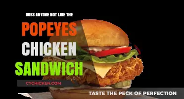 Popeyes Chicken Sandwich Debate: Who Doesn't Love This Crispy Craze?