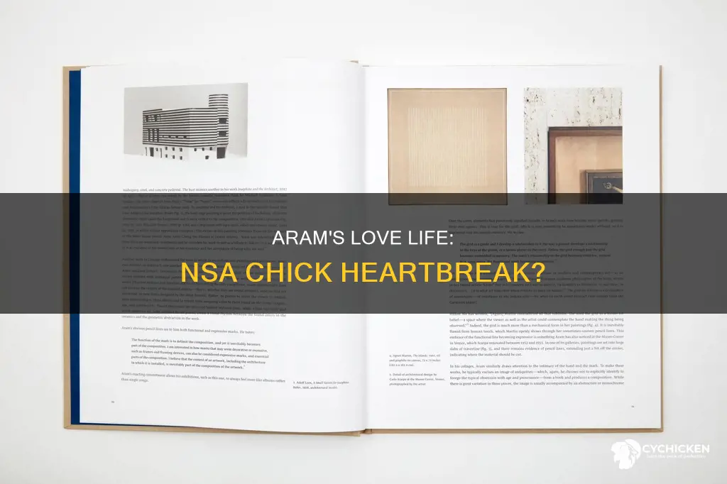 does aram from blacklist break up with the nsa chick