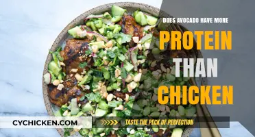 Avocado vs. Chicken: Which Has More Protein in Your Diet?