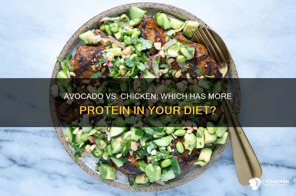 does avocado have more protein than chicken