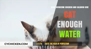 Hydration and Nutrition: AvoDerm Chicken and Salmon for Cats