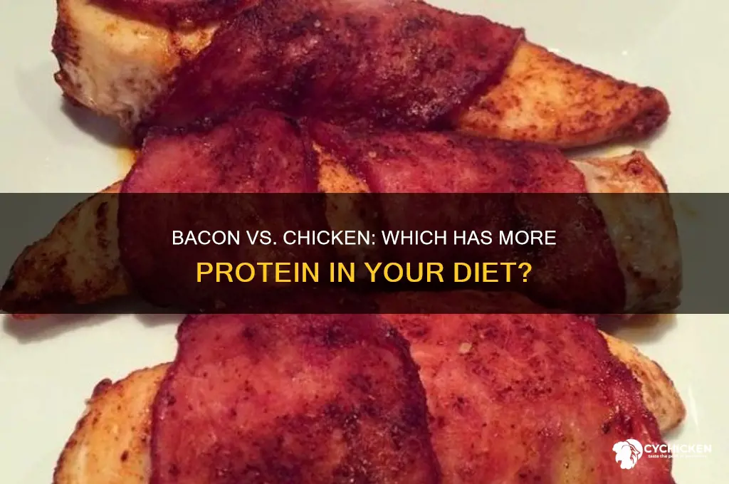 does bacon have more protein than chicken