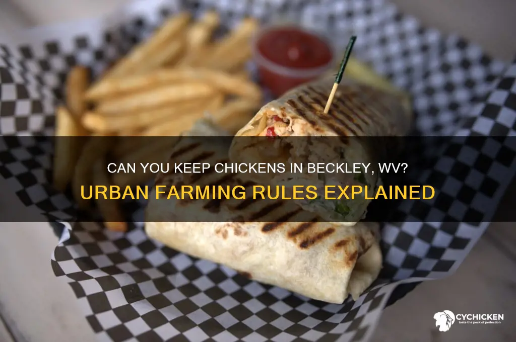 does beckly wv allow chicken in town living