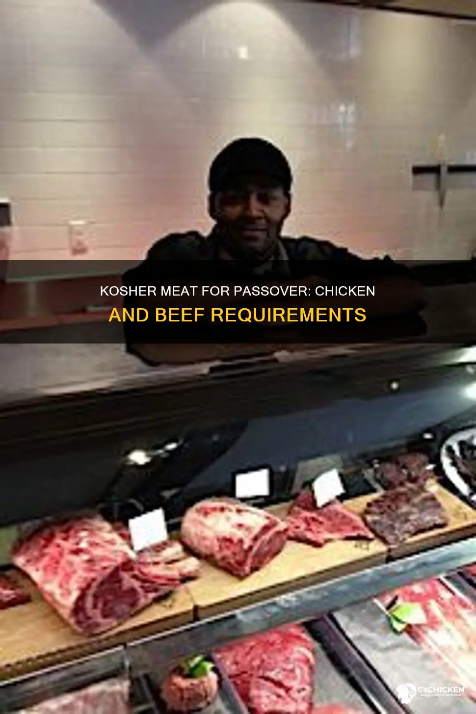 does beef and chicken have to be kosher for passover