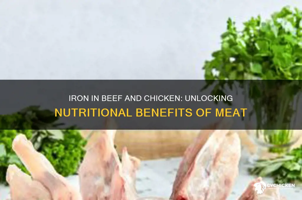 does beef and chicken meat have iron
