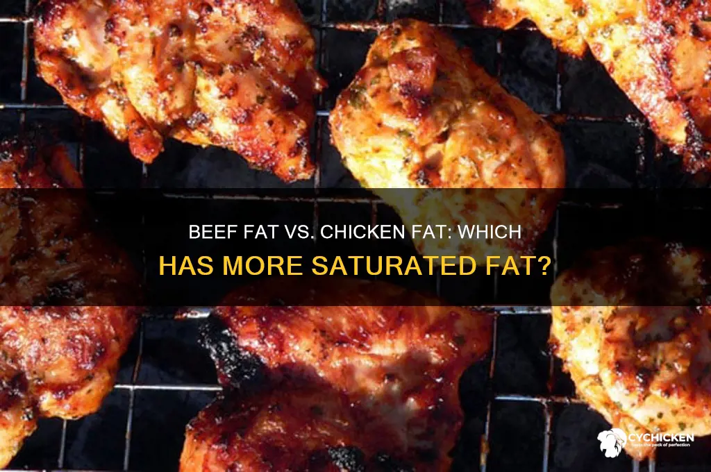 does beef fat or chicken fat more saturated