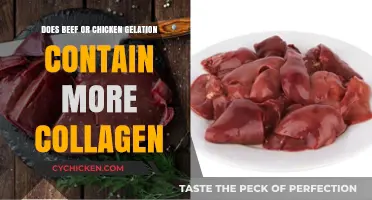 Beef vs. Chicken Gelatin: Which Offers More Collagen Benefits?